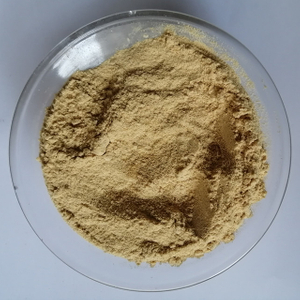 Sojabohnenextrakt Soja-Isoflavone 40%