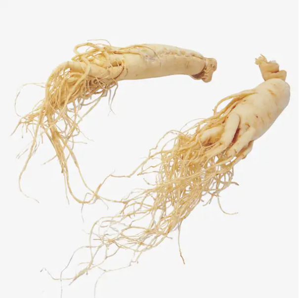 Ginseng-Extrakt